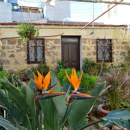 Mystery Garden Guest House Famagusta  Exterior foto