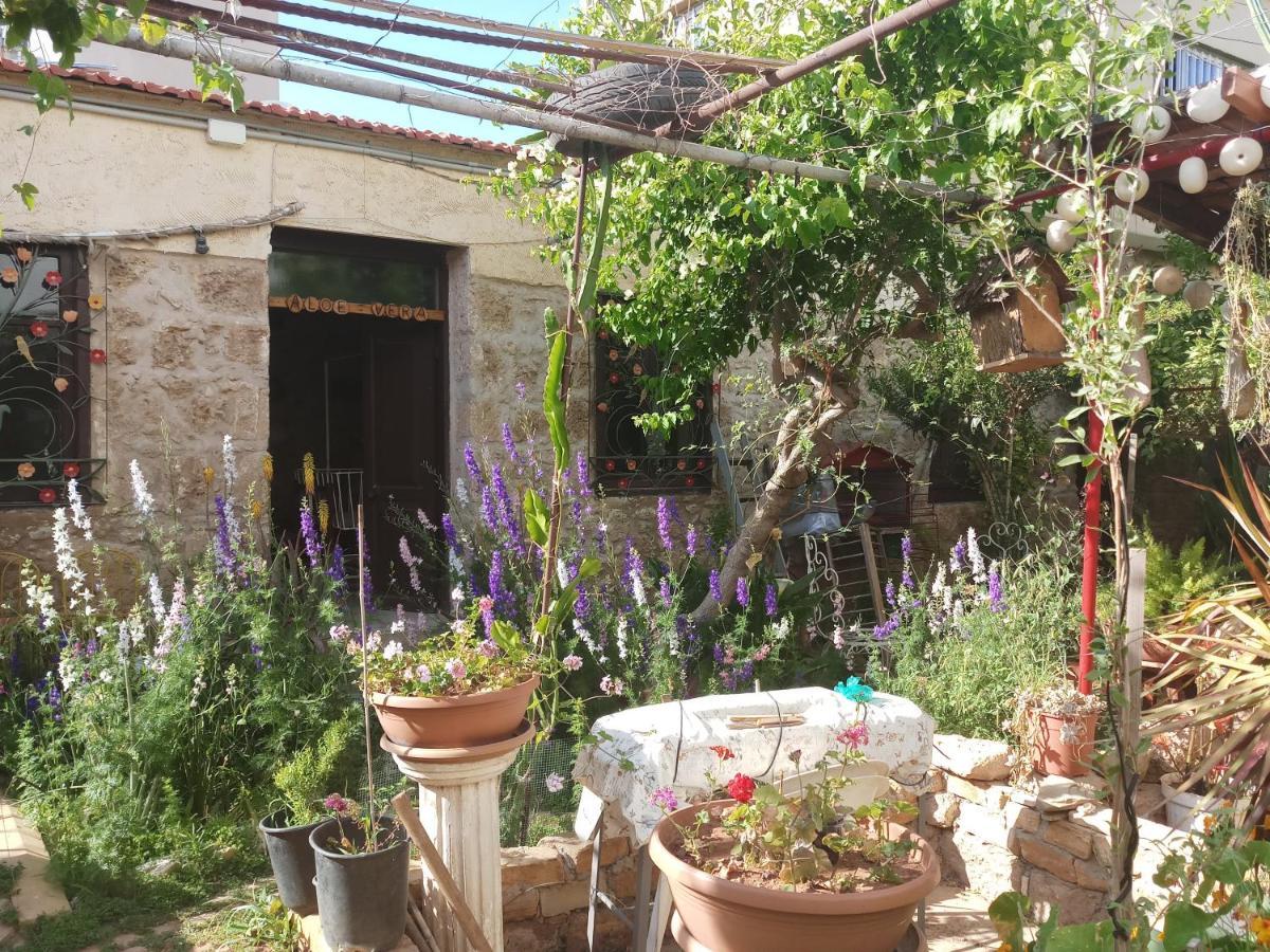 Mystery Garden Guest House Famagusta  Exterior foto