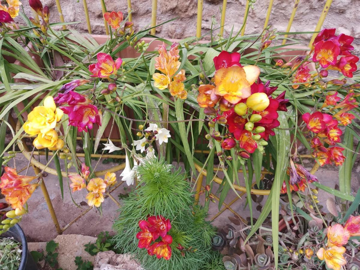 Mystery Garden Guest House Famagusta  Exterior foto