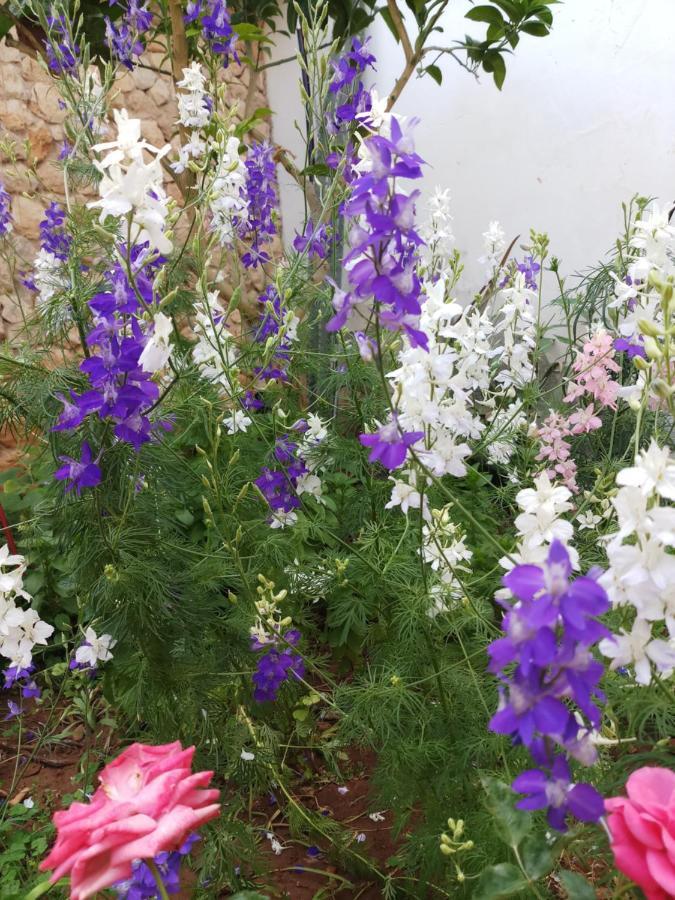 Mystery Garden Guest House Famagusta  Exterior foto