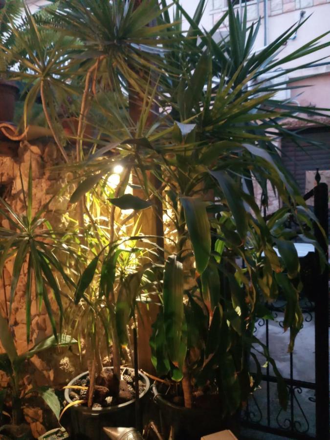 Mystery Garden Guest House Famagusta  Exterior foto