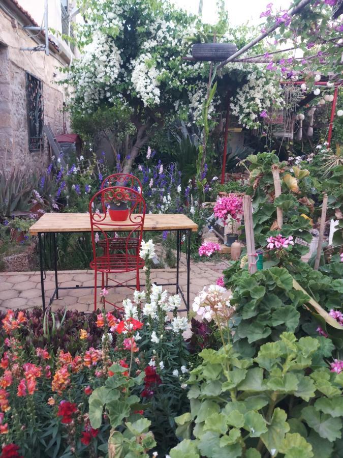 Mystery Garden Guest House Famagusta  Exterior foto