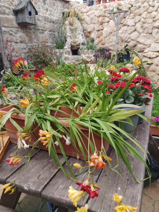 Mystery Garden Guest House Famagusta  Exterior foto