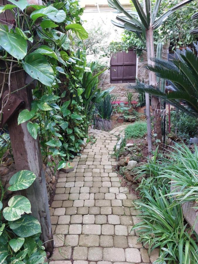 Mystery Garden Guest House Famagusta  Exterior foto