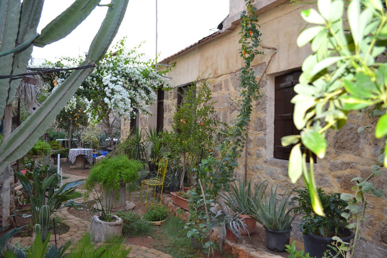 Mystery Garden Guest House Famagusta  Exterior foto