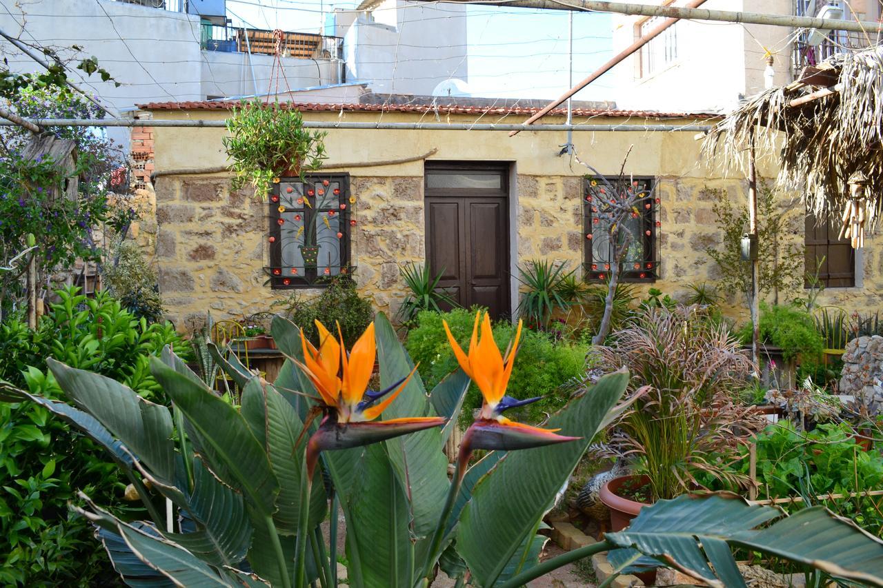 Mystery Garden Guest House Famagusta  Exterior foto