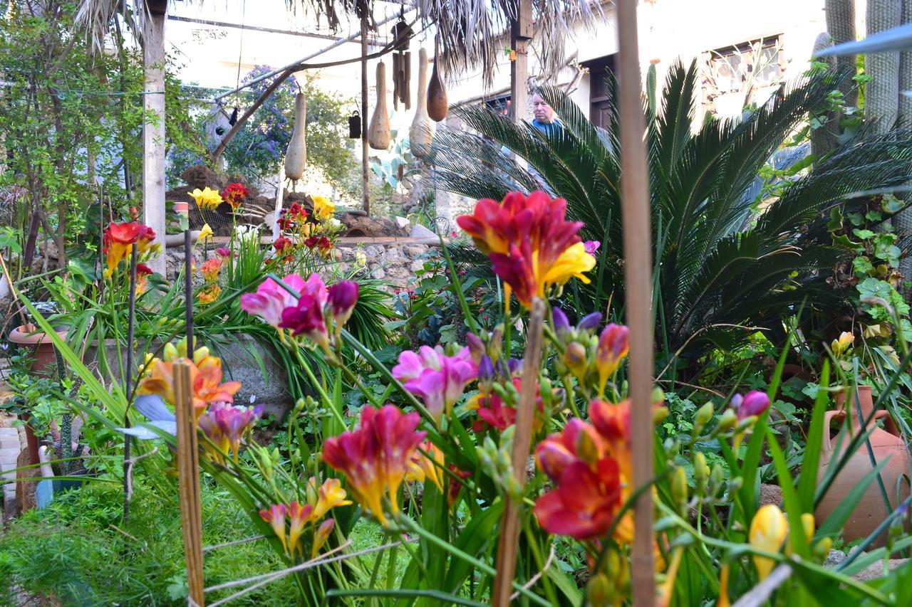 Mystery Garden Guest House Famagusta  Exterior foto