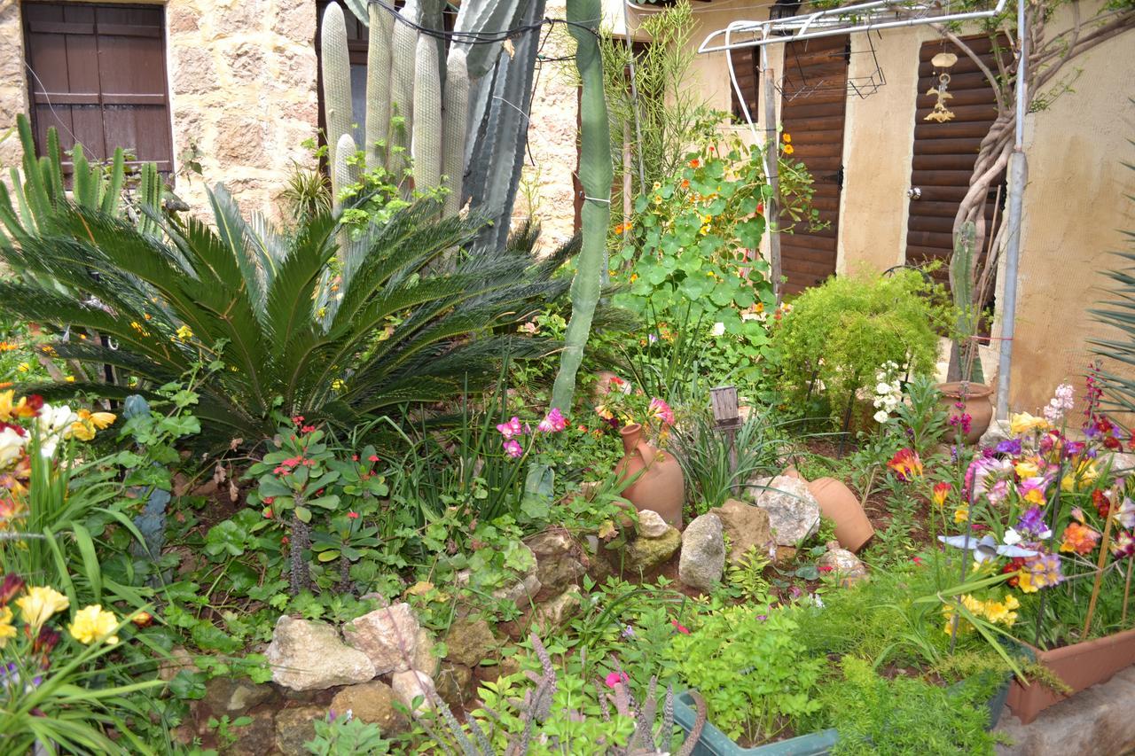 Mystery Garden Guest House Famagusta  Exterior foto