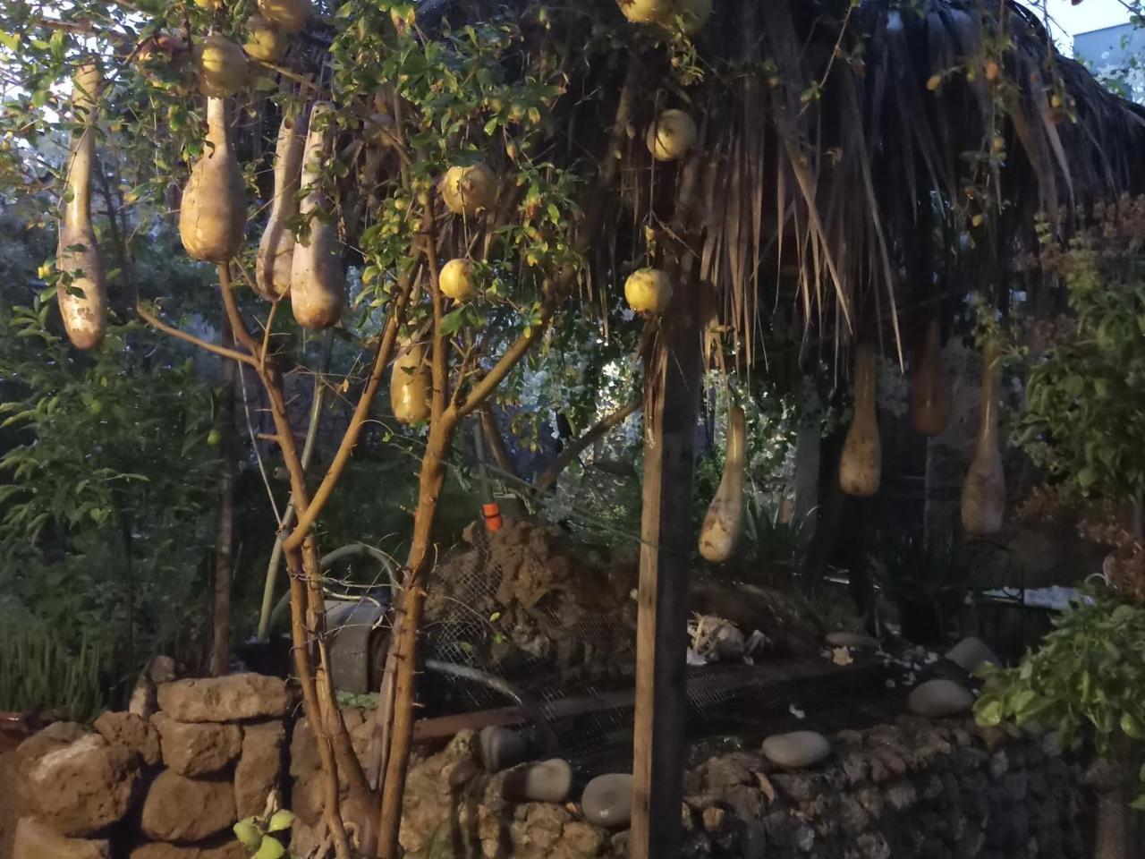 Mystery Garden Guest House Famagusta  Exterior foto