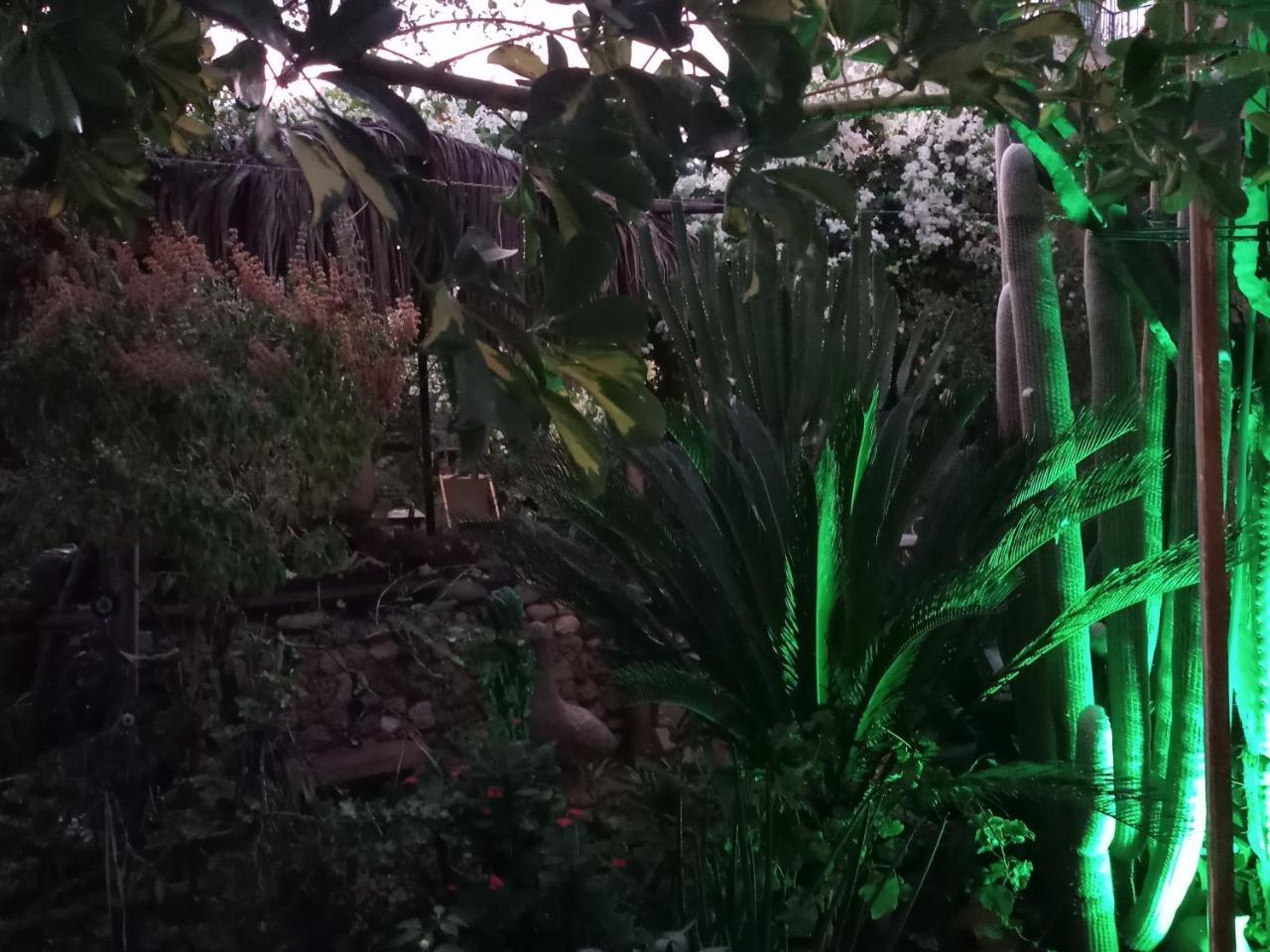 Mystery Garden Guest House Famagusta  Exterior foto