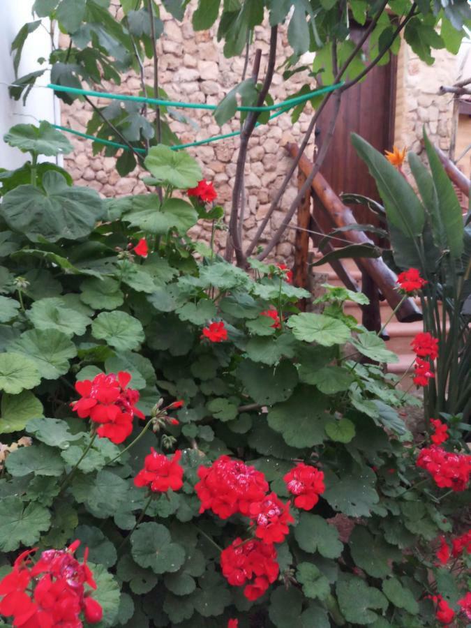 Mystery Garden Guest House Famagusta  Exterior foto